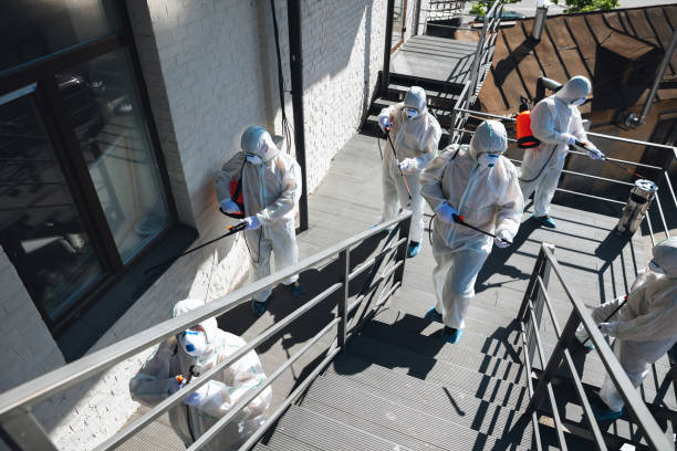 Best Industrial Mold Remediation  in Needles, CA