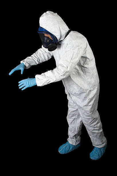 Best Mold Damage Restoration  in Needles, CA