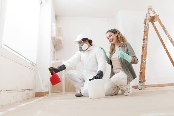 Best Water Damage & Mold Remediation  in Needles, CA