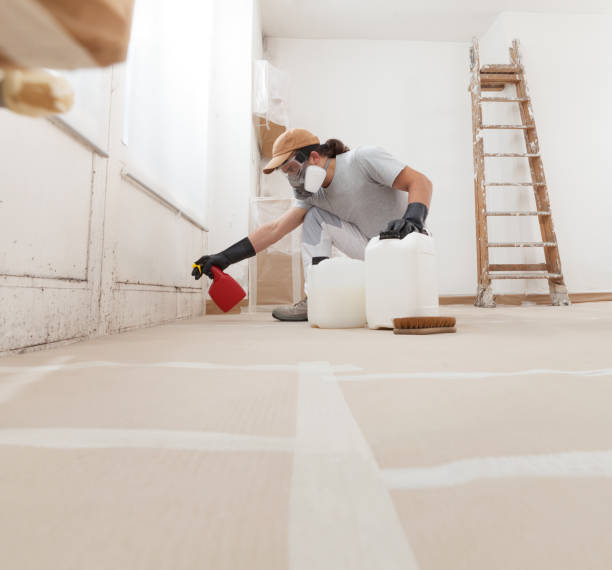 Best Mold Documentation for Insurance Claims  in Needles, CA