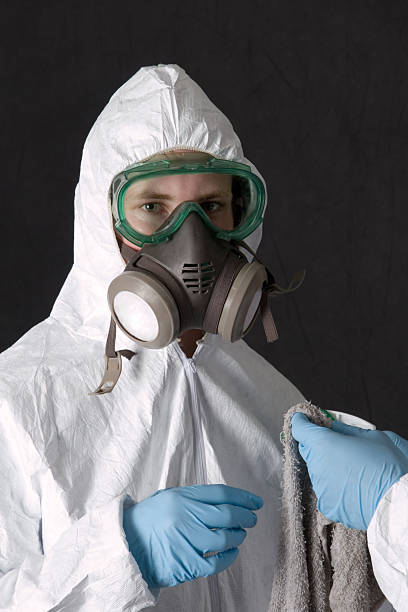 Best Residential Mold Inspection & Testing  in Needles, CA